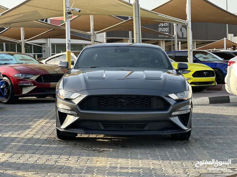 FORD MUSTANG ECOBOOST 2019