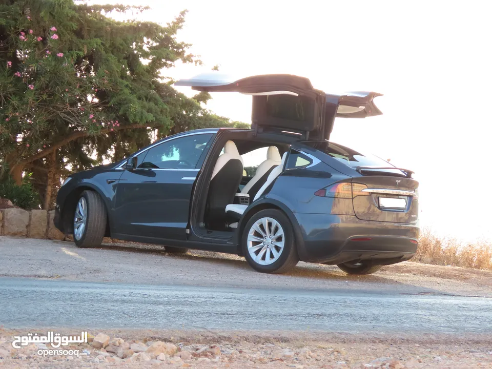 2021 Tesla Model X 100D