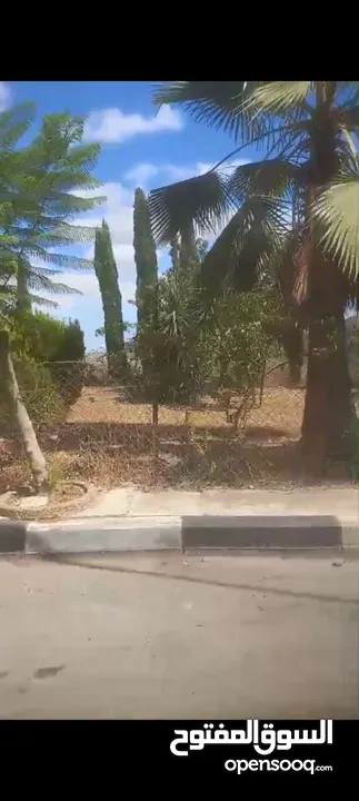 ارض للبيع صالحه للبناء  اسكان  في الطيره مساحه 700 متر السعر 380الف دولار