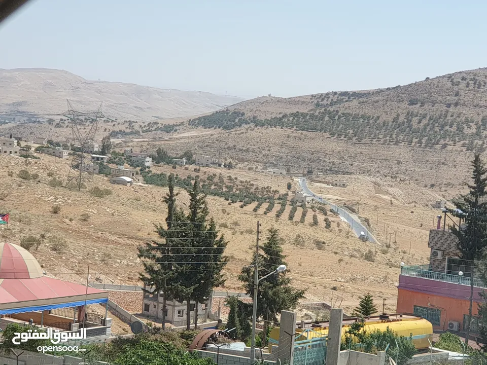 خمس دونمات في بيرين على شارعين بسعر مغري لفيلا او مزرعة