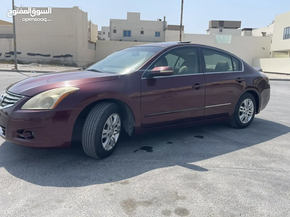 التيما فل ابشن