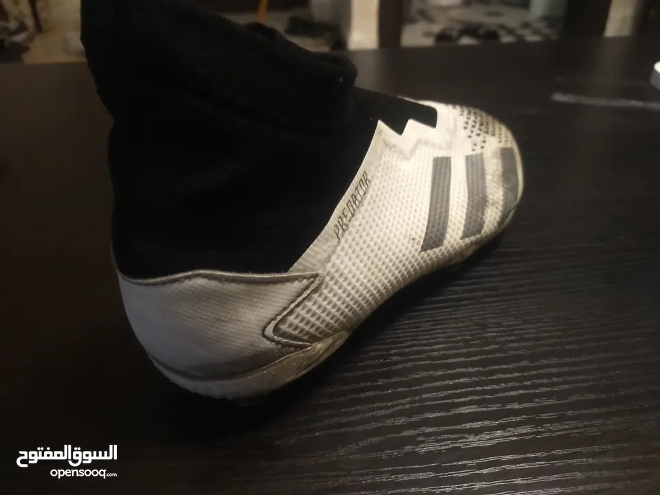 حذاء كرة قدم Adidas pretedor اصلي صناعة اندونيسيا اااااااااااأاااأاااااااااااااااااااااااااااااااااا