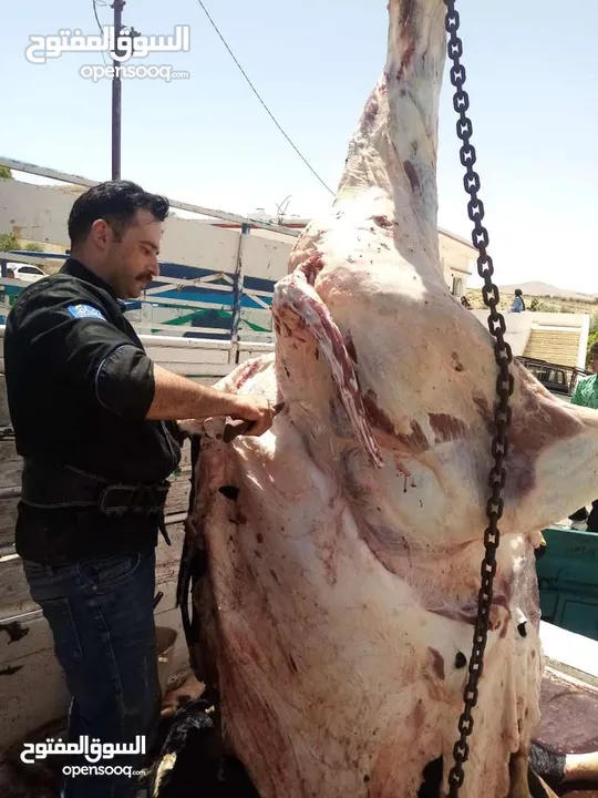 ابو حسين للاضاحي عجول وخرفان خبرة واحترافية: سنوات من العمل في مجال الذبح تضمن لكم خدمة ممتازة.