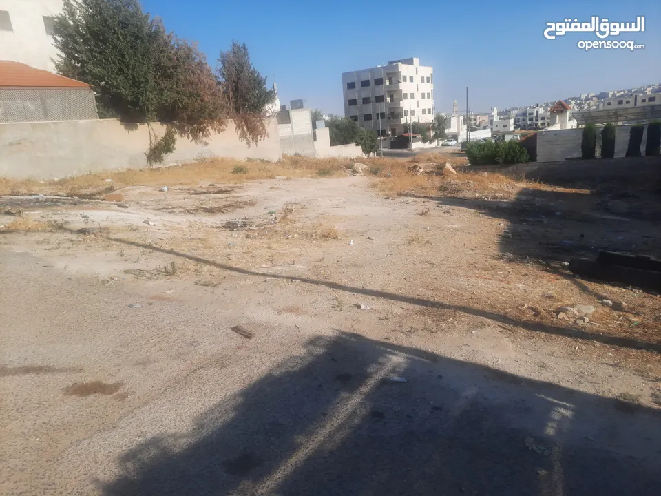 ارض للبيع  869 م سكن ب في الجويده