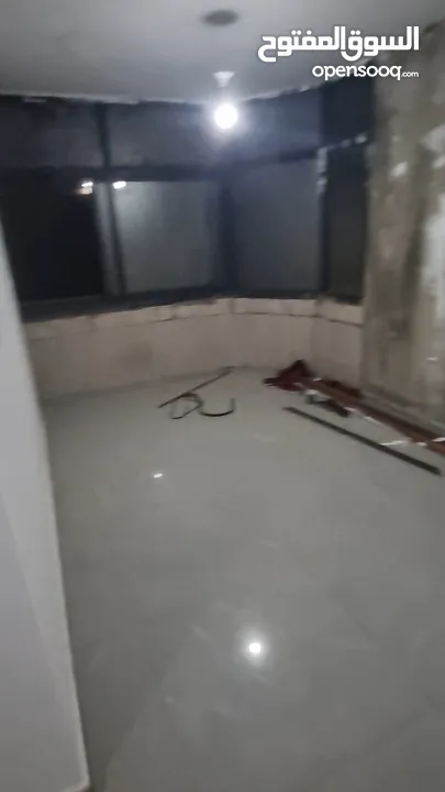 رضا ابو بكر