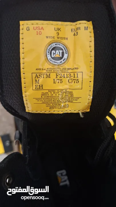 سيفتي cat .