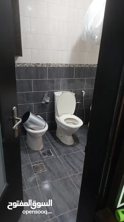 شقه للايجار مفروشه