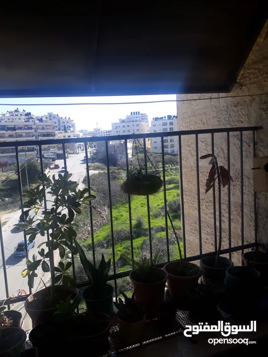 شقه للبيعاو البدل على بيت او ارض للبناء