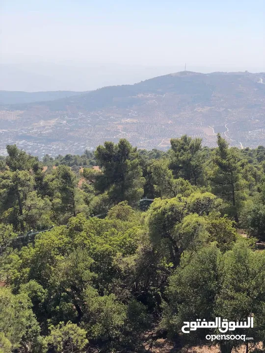 للبيع قطعه ارض مثالية في ماحص مميزة جدا يوجد فيها ينابيع مياه