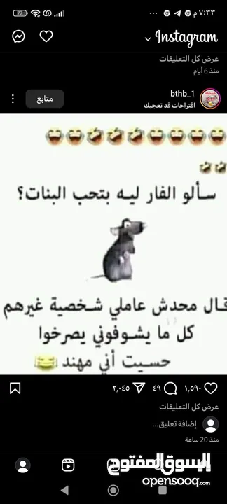 دجاجه سوده عربيه للبيع