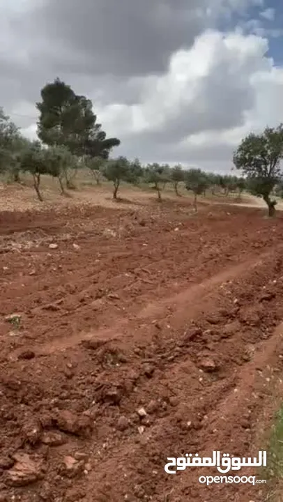 أرض مميزه _الصبيحي _ بيوضه الشماليه