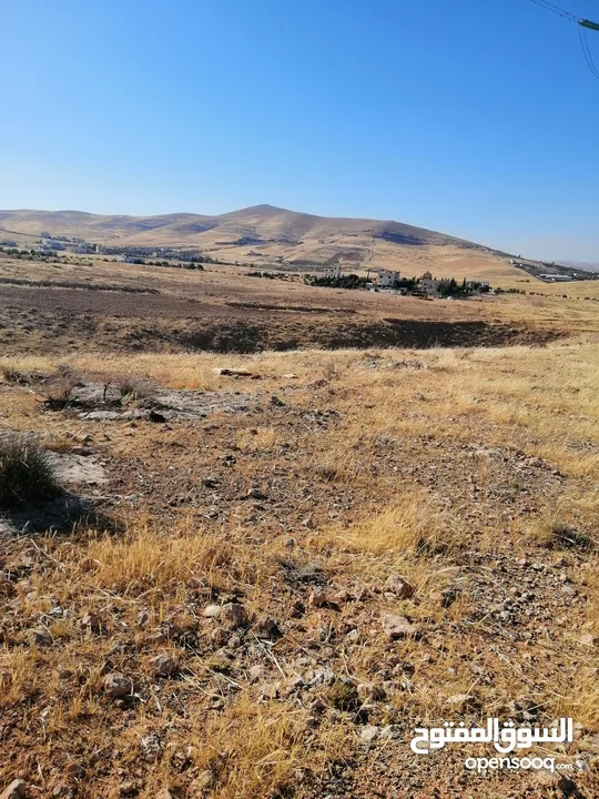 ارض للبيع في شمال عمان منطقة صروت تبعد 10كم عن شفابدران بسعر مغري جدا