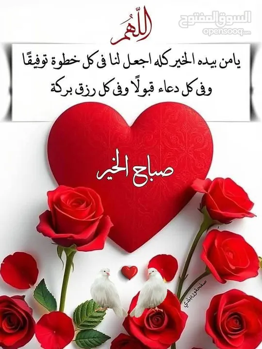 قطعة ارض للبيع جامعة فيلادلفيا