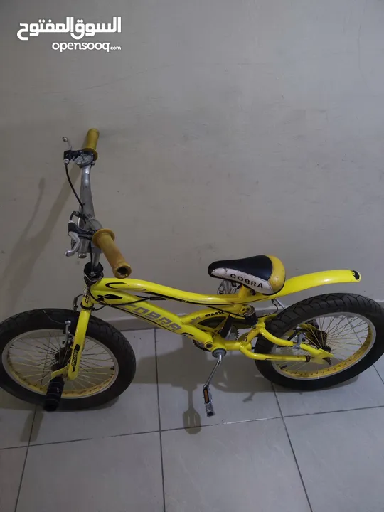 cobra cycle BMX edition