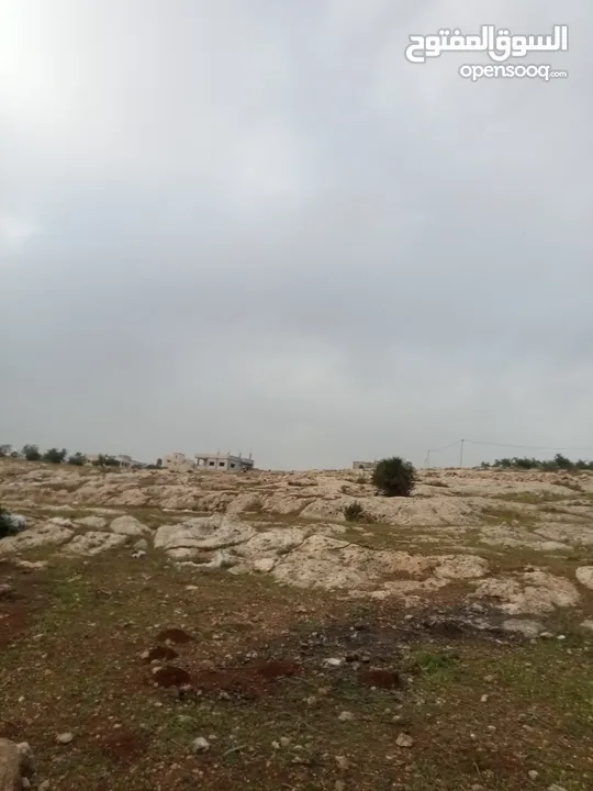 ارض سكنيه قرب مثلث حور فوعرا للبيع بسعر مغري