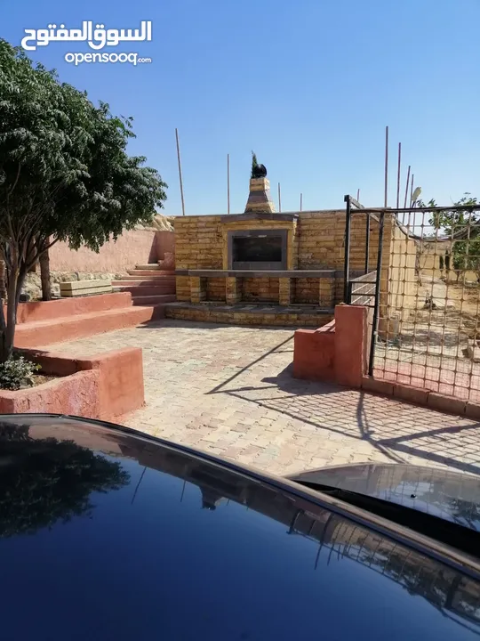 مزرعة مميزة ناعور المشقر