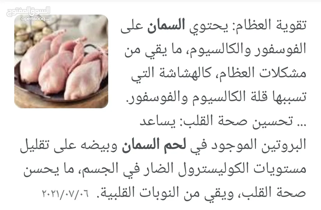يتوفر بيض السمان ولحم طائر السمان طازج وجديد سعر 2500 للطبقه سعر جمله يختلف