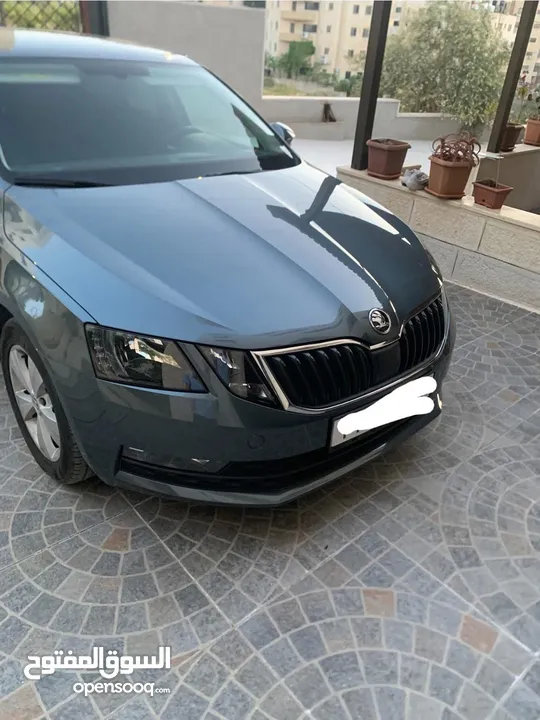 سكودا اوكتافيا 2019