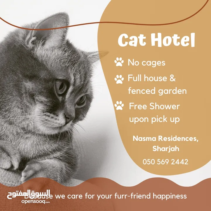 Cat Hotel Boarding / فندقه للقطط