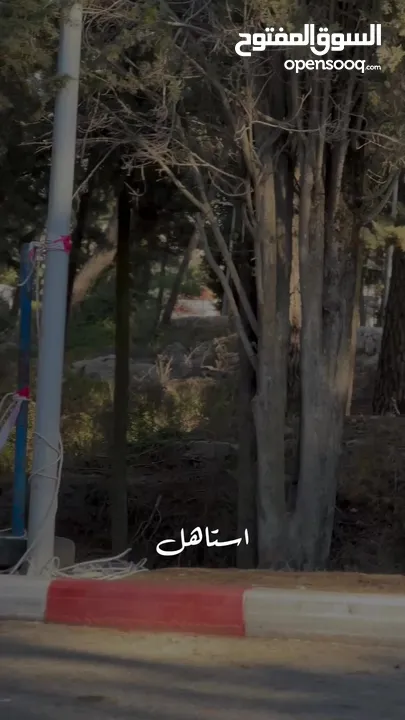 سكودا أوكتافيا 2019 للبيع