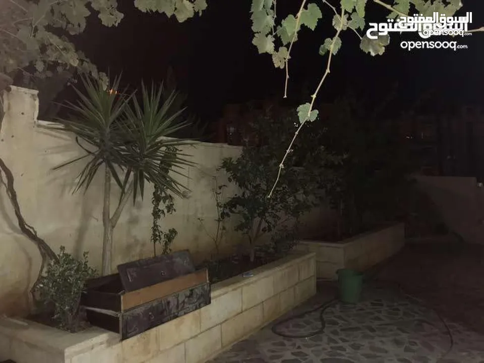 شقة للبيع في أم زويتيه