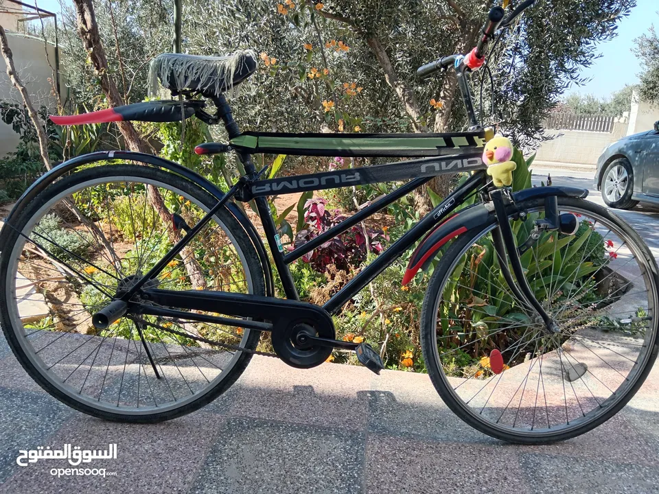 بسكليت.   ظظنتن