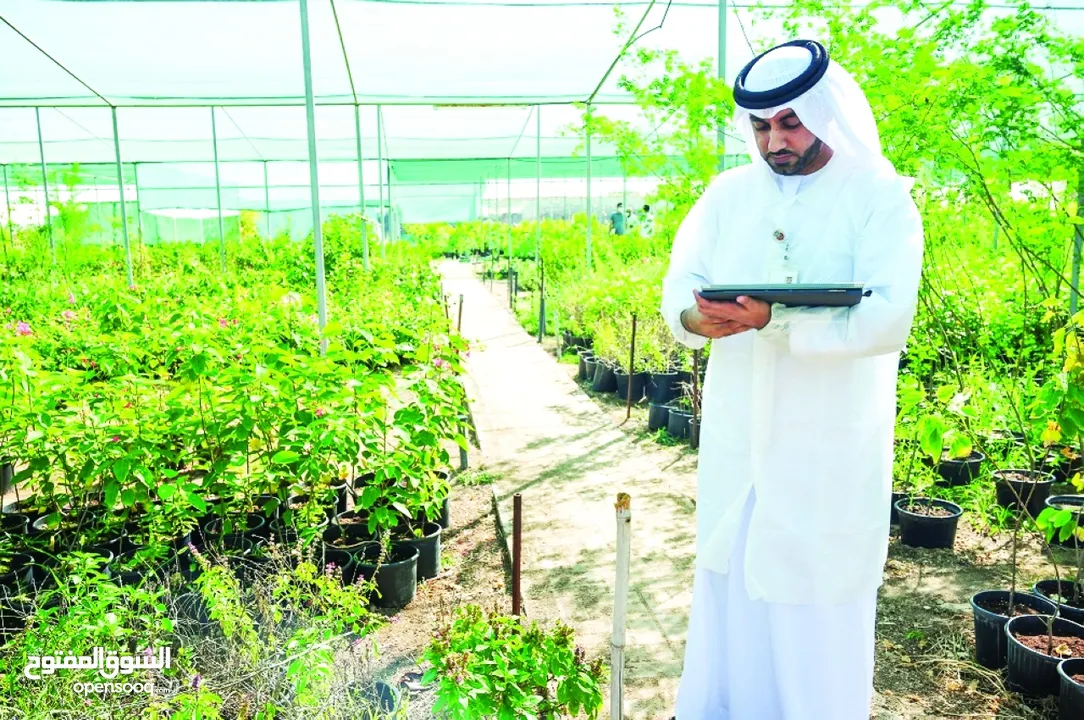 دراسات تخصيص الأراضي التابعة لمكتب أبوظبي للإستثمار