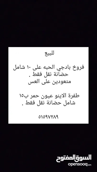 للبيع فروخ بادجي عس ونهاية عس وفروخ كروان كوكتيل . شرط الصحه والنظافه