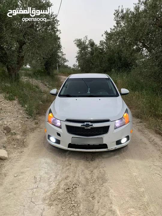 شفر كروز 2010 فحص نخب