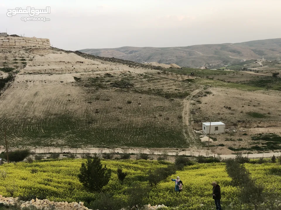 أرض بسعر مغري