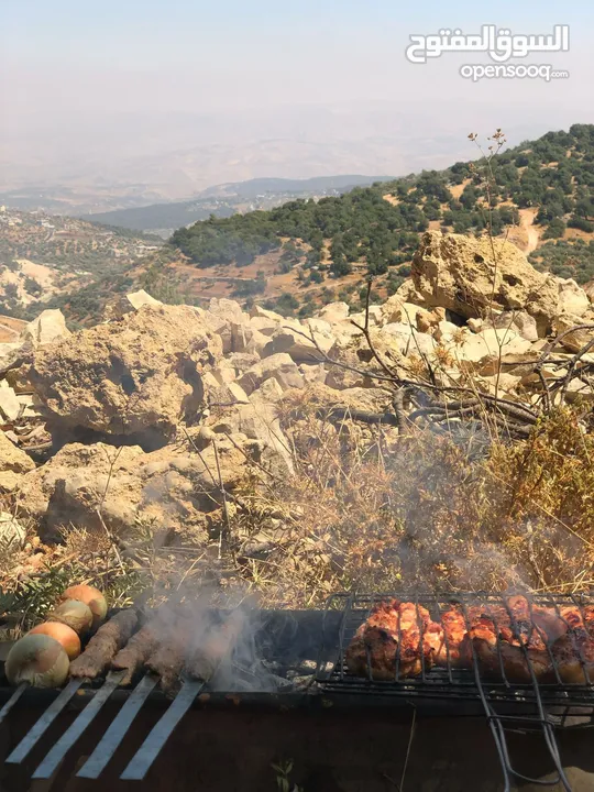 فرصة استثمارية! أرض زراعية مميزة بسعر مغري و بالقرب من أحراش الدولة للمزيد من المعلومات اقرأ الوصف