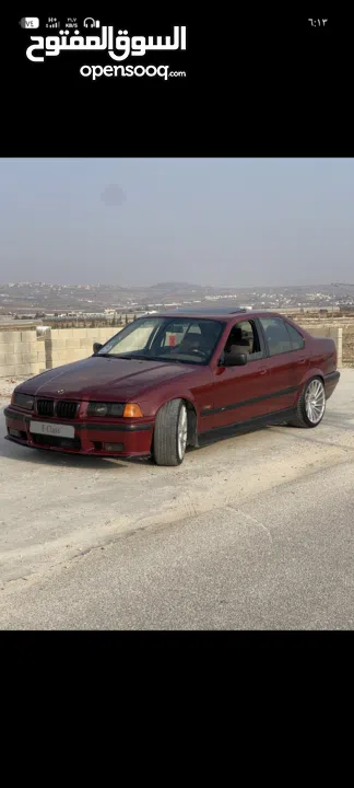 ,e36Bmw cobra