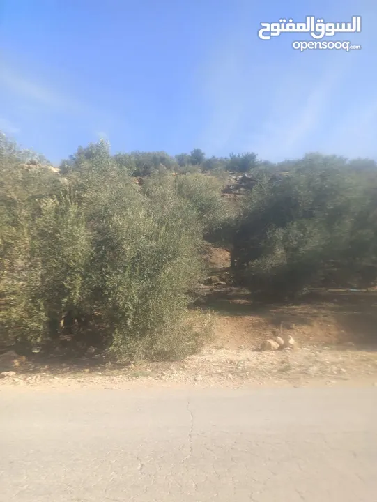 القبة الذهبية  شارع بلعا-دير الغصون