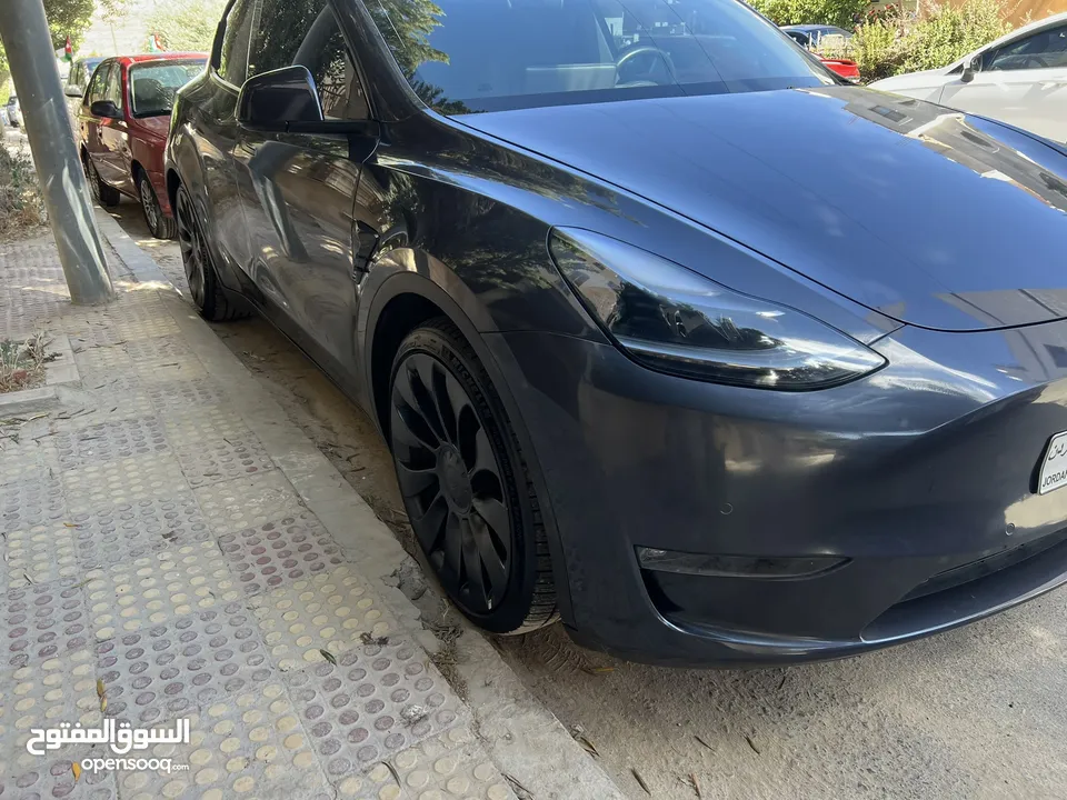 تيسلا y 2022 بيرفورمانس اعلى صنف ناجح اوتوسكور