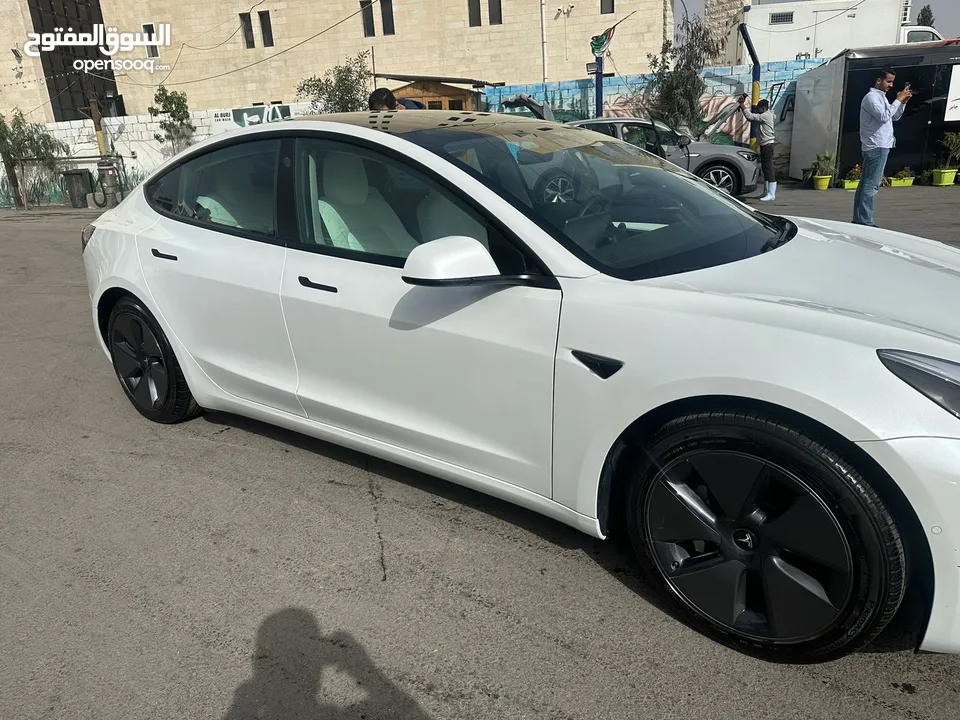 Tesla model 3 standard plus 2021