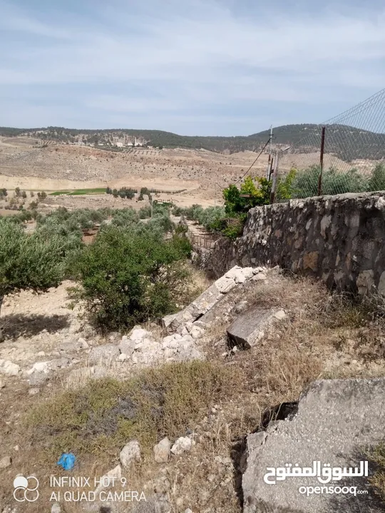للبيع مزرعة في قرية الرميمين