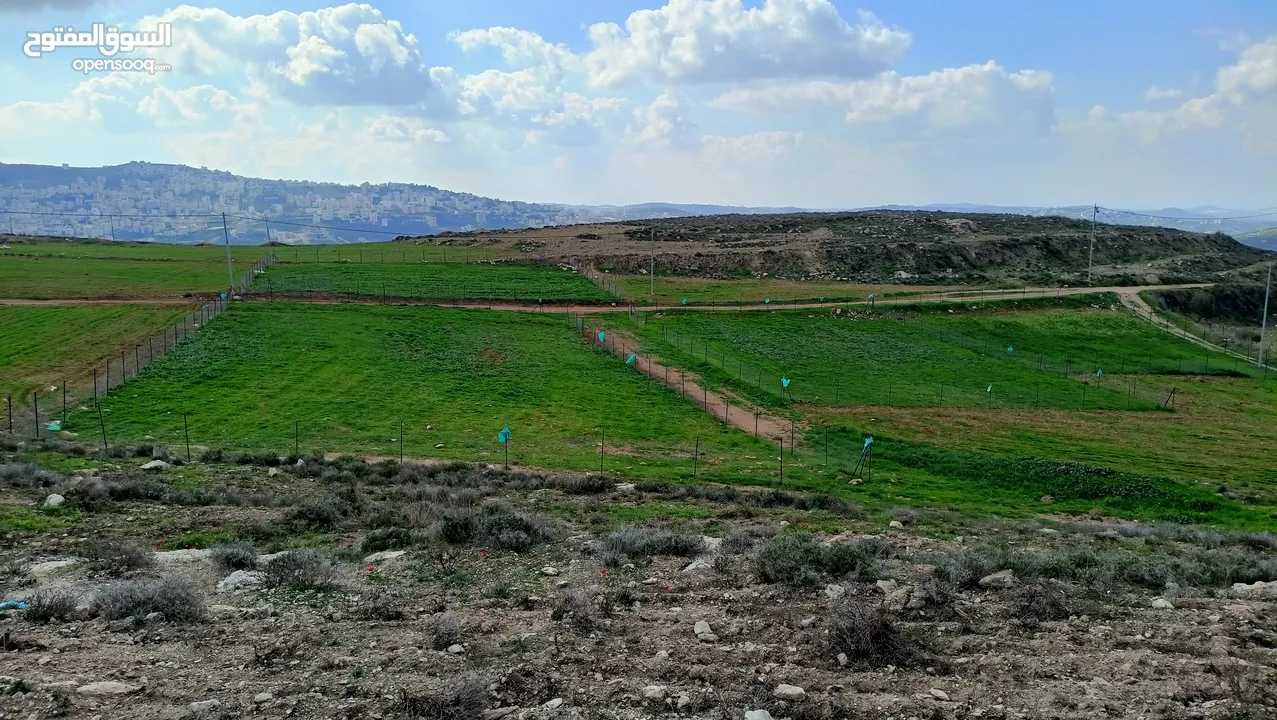 نمرتين ارض للبيع