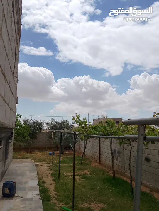 يوجد بيت للبيع