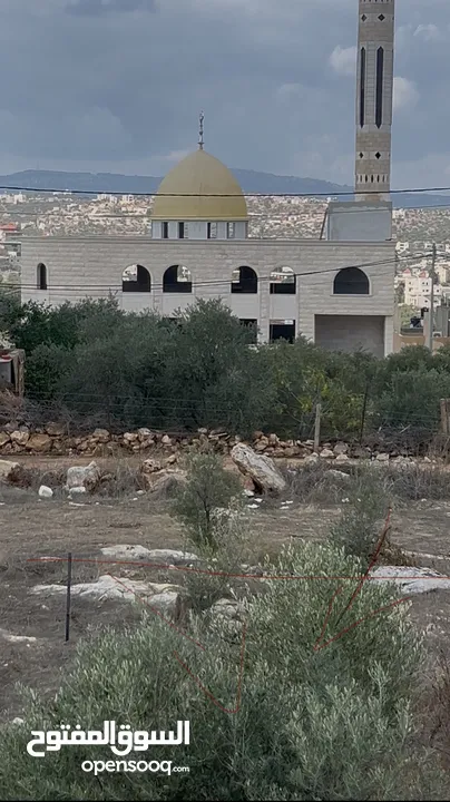 ارض سكنية مساحة 660 متر صافي