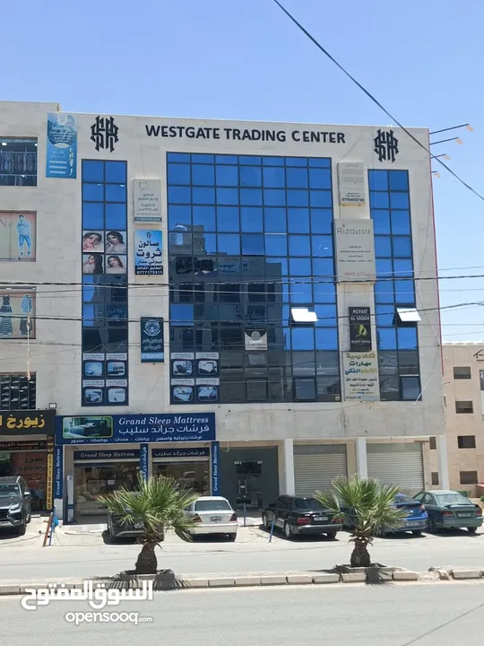 معرضين تجاريين (محلين) مع معرض ارضي تابع لهما مساحه 650 متر مربع   في اقوى شارع تجاري بمحافظه مادبا