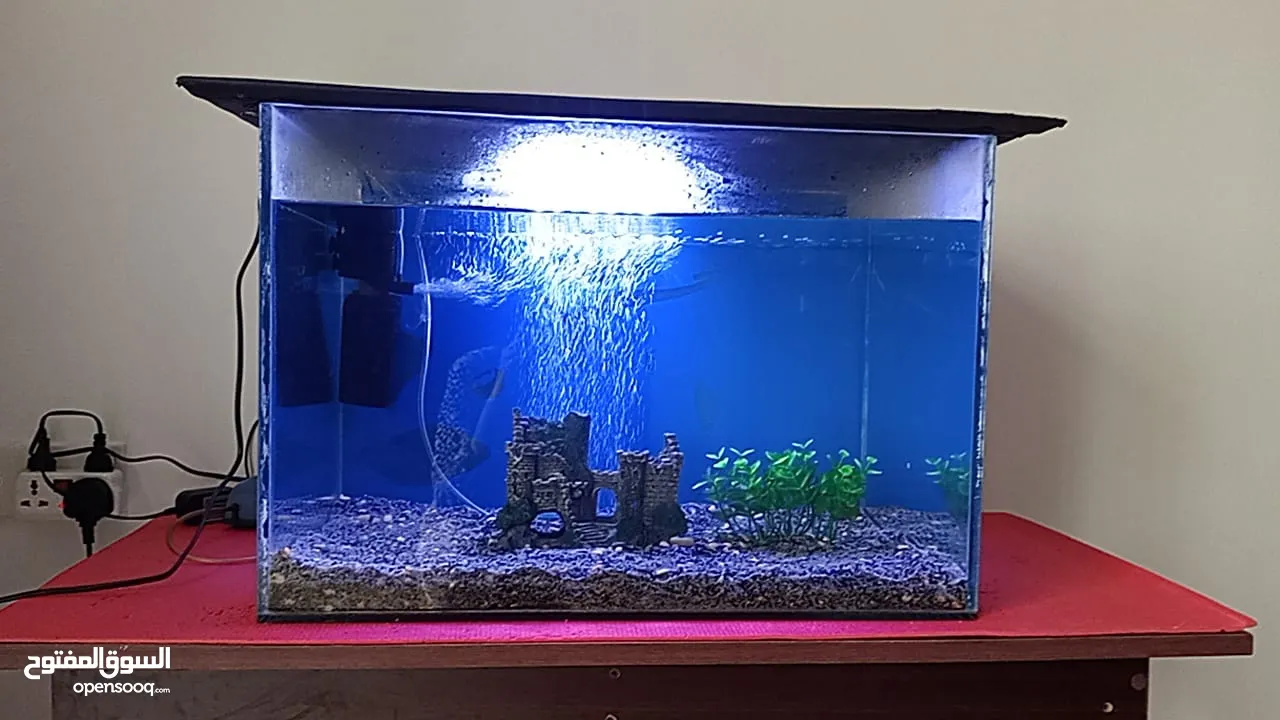 Fish tank with all accessories table and fish