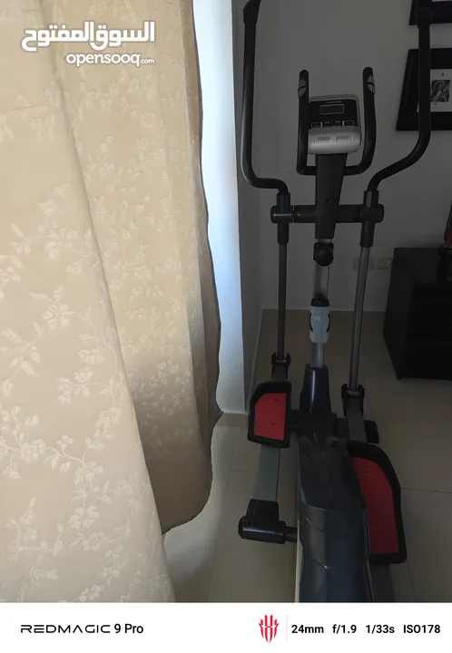 Handsom trainer