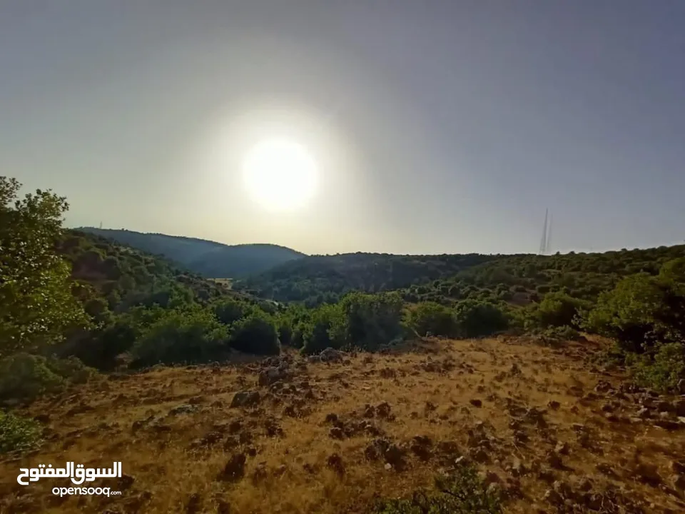 أرض متعددة الاستخدامات في أجمل مناطق عجلون