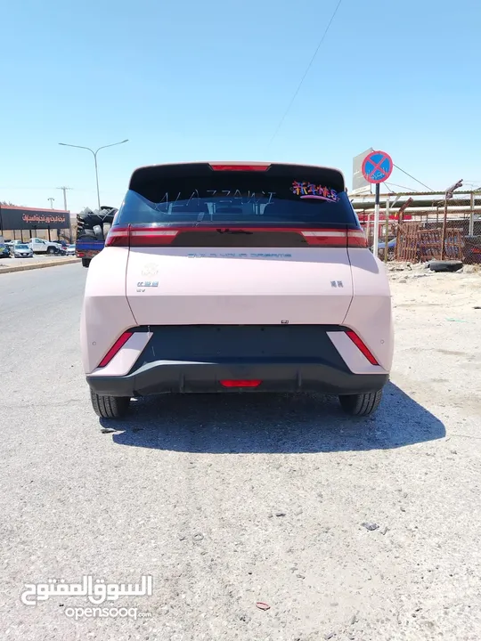 بي واي دي سيجيل 2023 بطارية 305