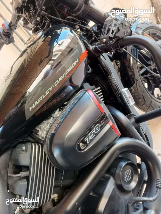 هارلي ستريت رود 750 2019