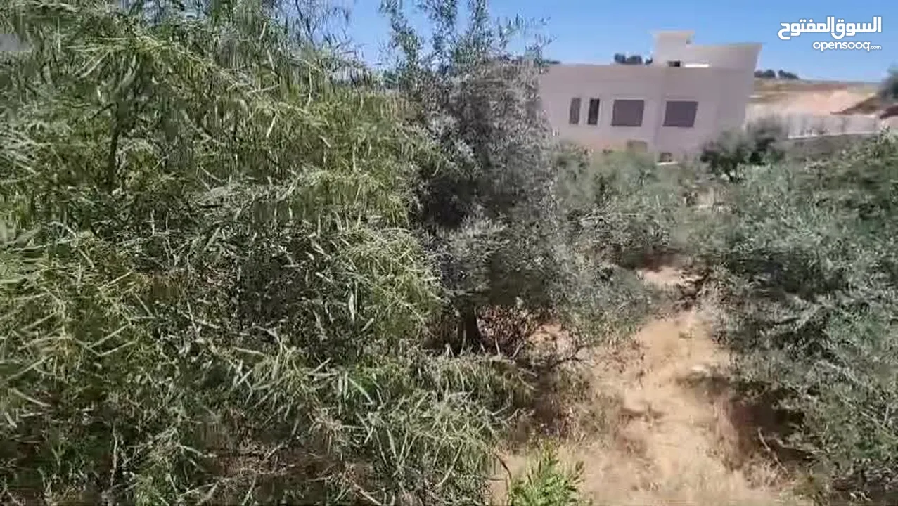 ارض على طريق المطار خلف المدارس العالمية 918 متر من المالك مباشره سكن أ خاص تصلح لبناء فيلا