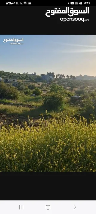 ارض للبيع في كفرنعمه طابو سلطه مساحه 500متر  للبيناء