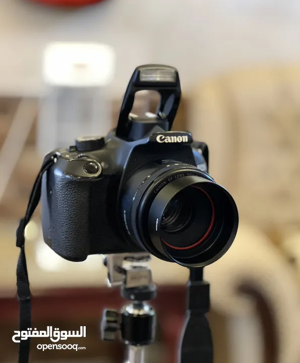 Canon 1200d + 50mm f/1.8 STM lens + accessories