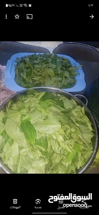 ملوخيه وورق عنب وفول وفاصوليا وسبانخ وخضار فروزن