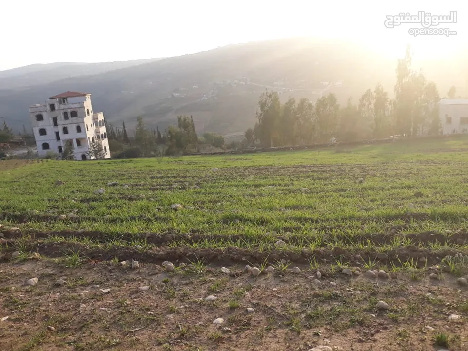 أرض للبيع في العنيبه خلف جامعة جرش